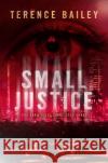 Small Justice: The Sara Jones Cycle Terence Bailey 9781786153814 Headline Publishing Group