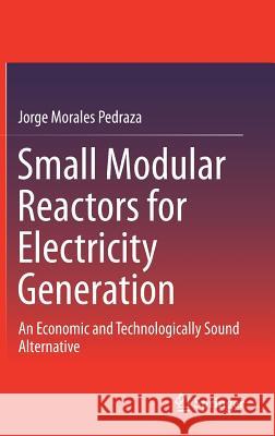 Small Modular Reactors for Electricity Generation: An Economic and Technologically Sound Alternative Morales Pedraza, Jorge 9783319522159 Springer - książka