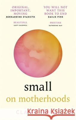 Small: On Motherhoods: 'A beautiful perfect book' PHILIPPA PERRY Claire Lynch 9781914240058 Octopus Publishing Group - książka