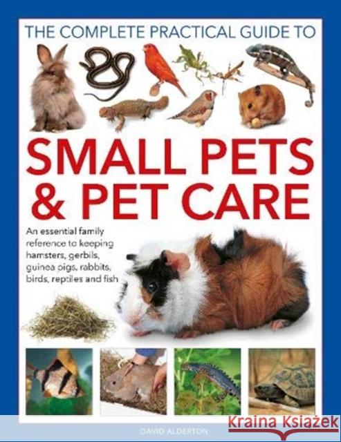 Small Pets and Pet Care, The Complete Practical Guide to: An essential family reference to keeping hamsters, gerbils, guinea pigs, rabbits, birds, reptiles and fish David Alderton 9780754835325 Anness Publishing - książka