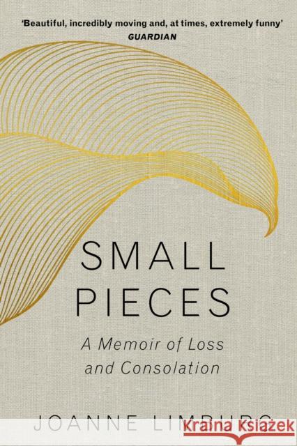 Small Pieces: A Memoir of Loss and Consolation Joanne Limburg 9781786492326  - książka