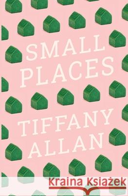 Small Places Allan 9780473579425 Tiffany Allan - książka