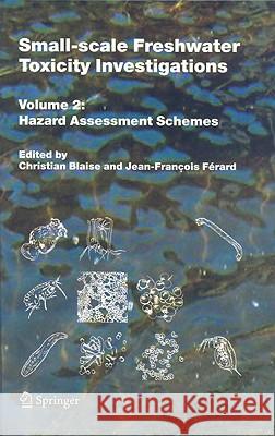 Small-Scale Freshwater Toxicity Investigations, Volume 2: Hazard Assessment Schemes Blaise, Christian 9781402035432 Springer - książka