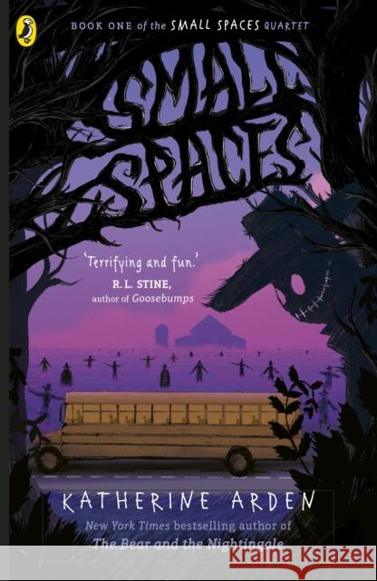 Small Spaces Katherine Arden 9780241795071 Penguin Random House Children's UK - książka