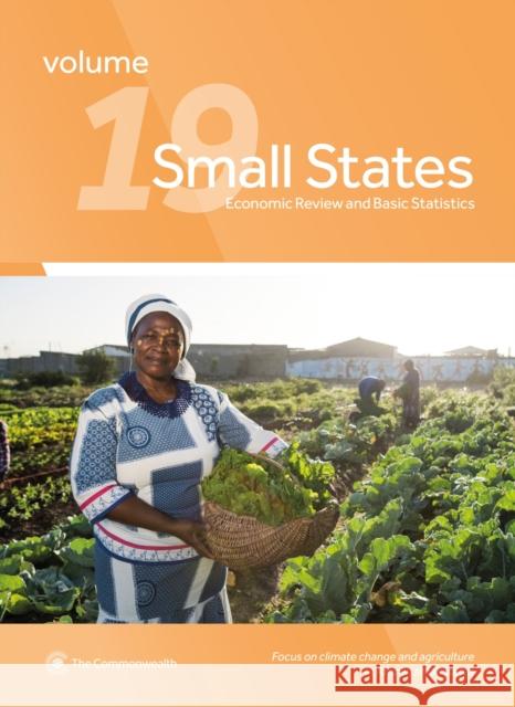 Small States: Economic Review and Basic Statistics, Volume 19 Commonwealth Secretariat 9781849291583 Commonwealth Secretariat - książka