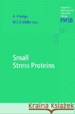 Small Stress Proteins A. P. Arrigo W. E. G. Muller A. -P Arrigo 9783540425205 Springer - książka