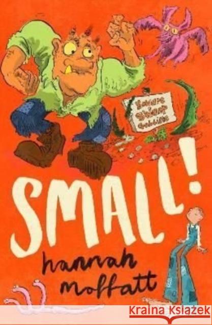 Small!: Sunday Times Best Books 2022 Hannah Moffatt 9781911427278 Everything with Words - książka