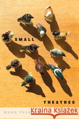 Small Theatres Mark Truscott 9780228027928 McGill-Queen's University Press - książka
