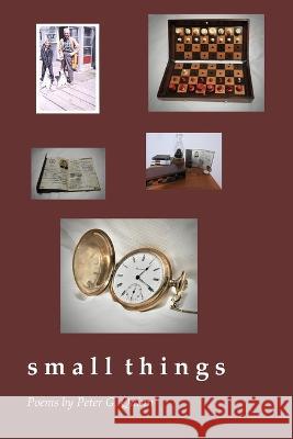 small things Peter G. Quinn 9781625494306 Turning Point - książka