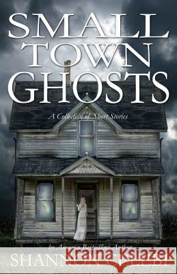 Small Town Ghosts Shannon Celebi 9781492276586 Createspace - książka