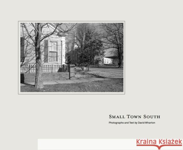 Small Town South David Wharton 9781938086090 George F Thompson Publishing - książka