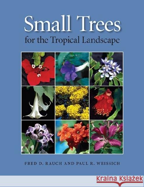Small Trees for the Tropical Landscape Fred D. Rauch Paul R. Weissich 9780824833084 University of Hawaii Press - książka