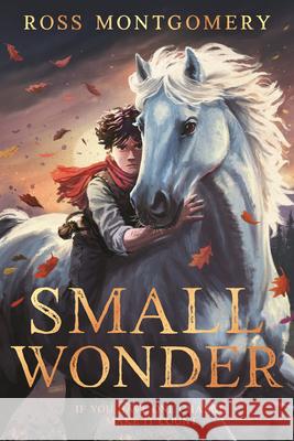 Small Wonder Ross Montgomery 9781536252460 Candlewick Press (MA) - książka