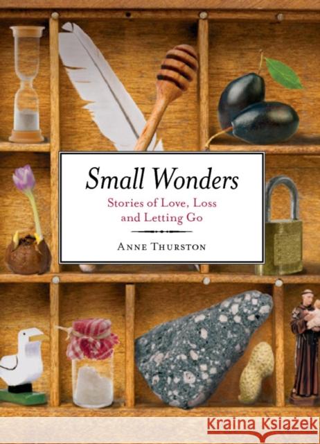 Small Wonders: Stories of Love, Loss and Letting Go Thurston, Anne 9781847305749 Veritas - książka