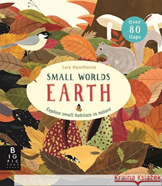 Small Worlds: Earth Camilla De La Bedoyere 9781787415638 Templar Publishing - książka