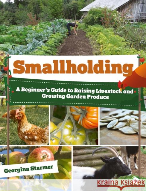 Smallholding: A Beginner’s Guide to Raising Livestock and Growing Garden Produce Georgina Starmer 9781910455920 5M Books Ltd - książka