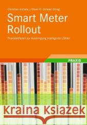 Smart Meter Rollout: Praxisleitfaden Zur Ausbringung Intelligenter Zähler Aichele, Christian 9783834824394 Springer Vieweg - książka