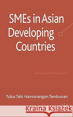 SMEs in Asian Developing Countries Tulus Tahi Hamonangan Tambunan 9780230230378 PALGRAVE MACMILLAN - książka