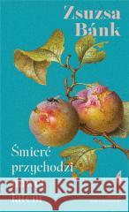 Śmierć przychodzi nawet latem BANK ZSUZSA 9788381917322 CZARNE - książka