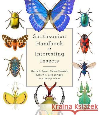 Smithsonian Handbook of Interesting Insects Blanca Huertas Gavin Broad 9781588346865 Smithsonian Books - książka