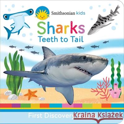 Smithsonian Kids Sharks: Teeth to Tail Cottage Door Press 9781646380558 Cottage Door Press - książka