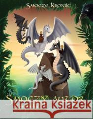 Smocze Kroniki T.3 Smoczy autor Paweł Gołuch 9788366977587 Dreams - książka