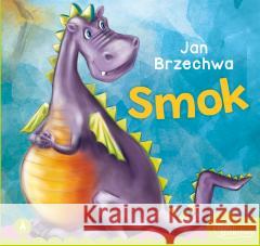 Smok Jan Brzechwa 9788382073416 Skrzat - książka