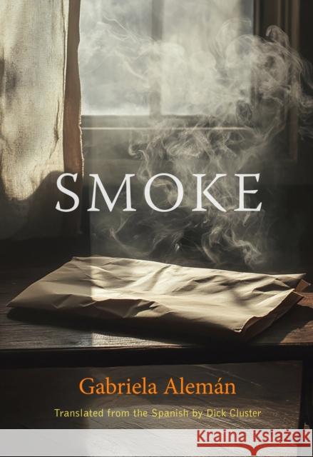 Smoke Gabriela Alemn 9780872869172 City Lights Books - książka