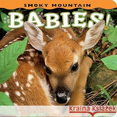 Smoky Mountain Babies!  9781560375067 Not Avail - książka