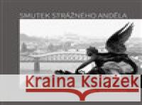 Smutek strážného anděla Michal Beredzas 9788088318286 Tofana - książka