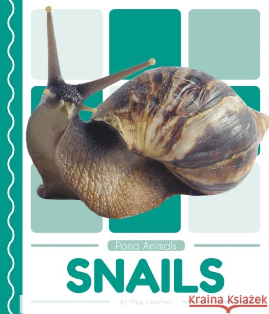 Snails Meg Gaertner 9781641855815 Pop! - książka