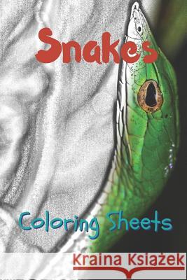 Snake Coloring Sheets: 30 Snake Drawings, Coloring Sheets Adults Relaxation, Coloring Book for Kids, for Girls, Volume 13 Julian Smith 9781797630748 Independently Published - książka