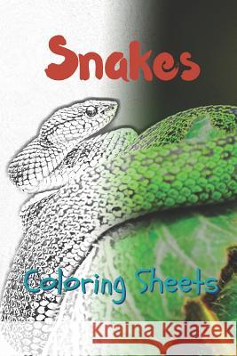 Snake Coloring Sheets: 30 Snake Drawings, Coloring Sheets Adults Relaxation, Coloring Book for Kids, for Girls, Volume 15 Julian Smith 9781797630779 Independently Published - książka