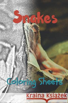 Snake Coloring Sheets: 30 Snake Drawings, Coloring Sheets Adults Relaxation, Coloring Book for Kids, for Girls, Volume 9 Julian Smith 9781797630663 Independently Published - książka