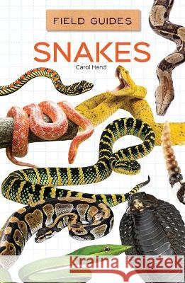 Snakes Carol Hand 9781532198823 Abdo Reference - książka