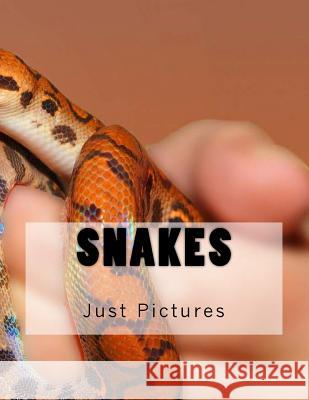 Snakes Just Pictures 9781546601081 Createspace Independent Publishing Platform - książka