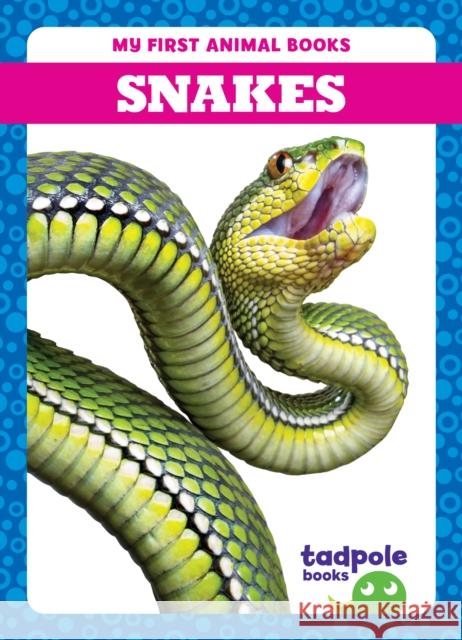 Snakes Natalie Deniston 9798889965893 Tadpole Books - książka