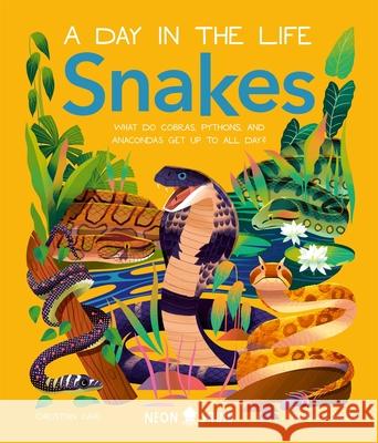 Snakes (A Day in the Life): What Do Cobras, Pythons, and Anacondas Get Up to All Day? Neon Squid 9781838993269 Priddy Books - książka