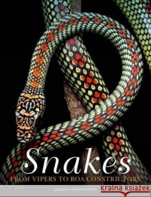 Snakes: From Vipers to Boa Constrictors Julianna Photopoulos 9781838862848 Amber Books Ltd - książka