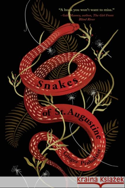 Snakes of St. Augustine Ginger Pinholster 9781646033829 Regal House Publishing - książka