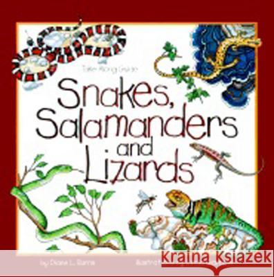 Snakes, Salamanders & Lizards Diane L. Burns Linda Garrow 9781559716277 Northword Press - książka