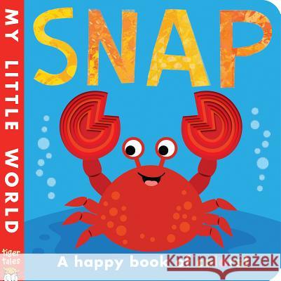 Snap Patricia Hegarty Fhiona Galloway 9781680106251 Tiger Tales. - książka