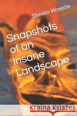 Snapshots of an Insane Landscape Steven Woeste 9798778394469 Independently Published - książka