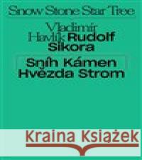 Sníh, kámen, hvězda, strom Jakub Král 9788070101674 Galerie hl. města Prahy - książka