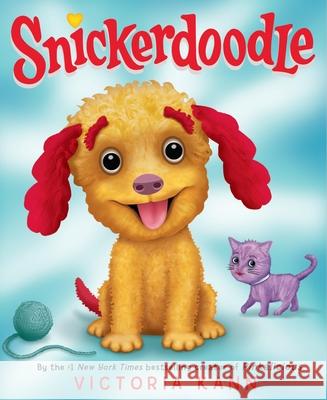 Snickerdoodle Victoria Kann 9780316583916 Christy Ottaviano Books-Little Brown and Hach - książka