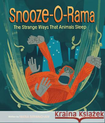 Snooze-O-Rama: The Strange Ways That Animals Sleep Maria Birmingham Kyle Reed 9781771474047 Owlkids - książka