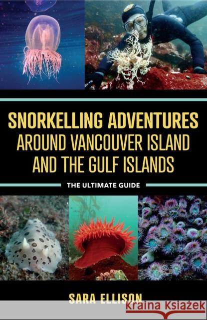 Snorkelling Adventures Around Vancouver Island and the Gulf Islands: The Ultimate Guide  9781990776151 Harbour Publishing - książka