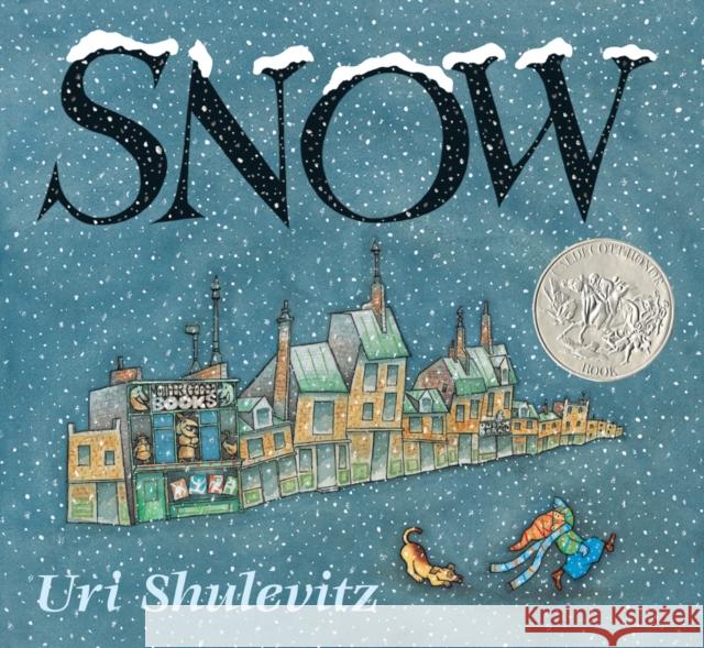 Snow Uri Shulevitz Uri Shulevitz 9780374370930 Farrar Straus Giroux - książka