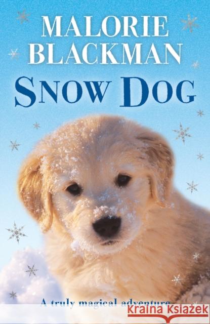 Snow Dog Malorie Blackman 9780552547031 Penguin Random House Children's UK - książka