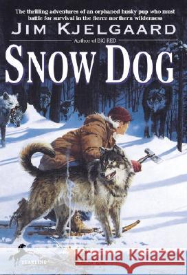 Snow Dog Jim Kjelgaard 9780553155600 Yearling Books - książka